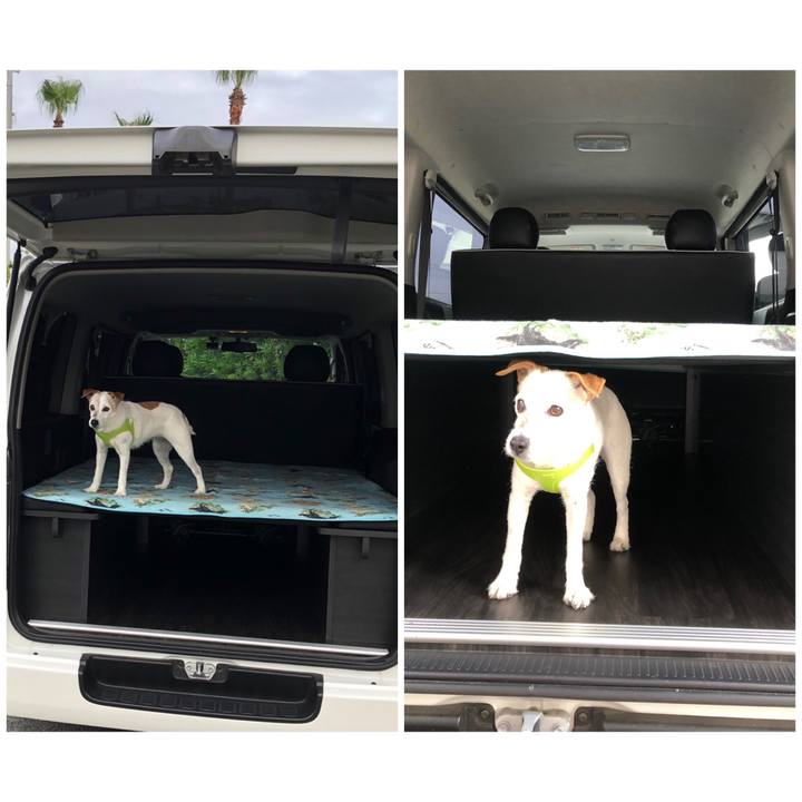 B7a7c22a cae5 4af7 a2f2 2b4cf15fc9a7 1561550529760