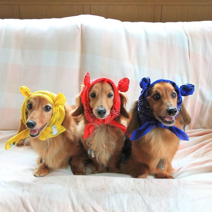 B7a7e490 4fda 4f6a 9f59 fe3d8240bf6c 1764165532044