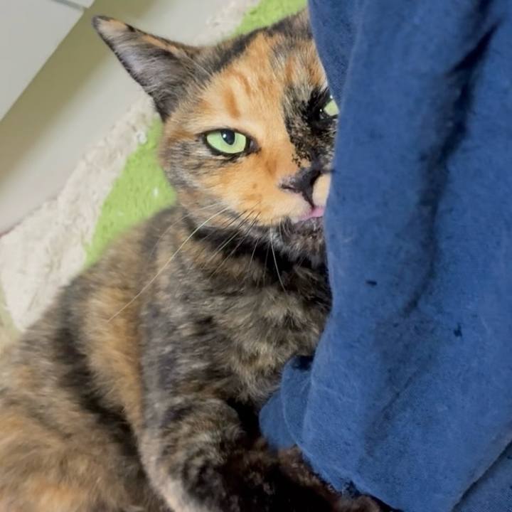 B7a818e6 4eb4 4c5d 9e97 938fc16dfe71 1757246865831