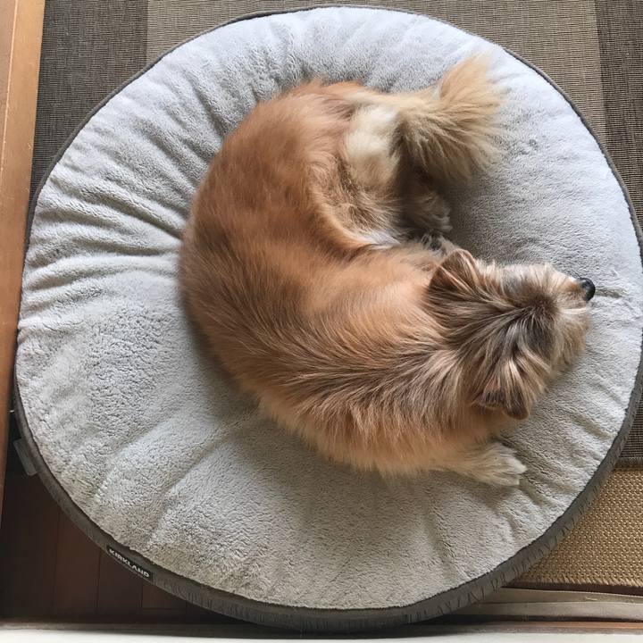 B7a8307c b6ad 45bd b42a a6819bb93733 1614637801161