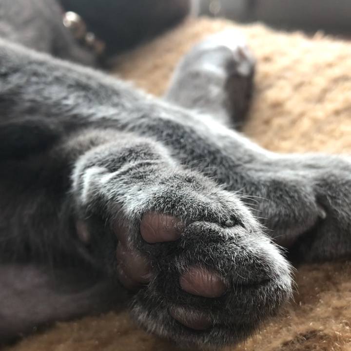 B7a8664b 267b 4f43 b62f d959972f88ac 1524872366569