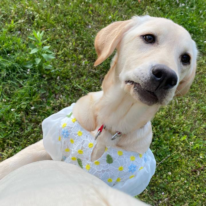 B7a87e6f 59d3 4dc6 ad40 e0b16438c80b 1618737120667