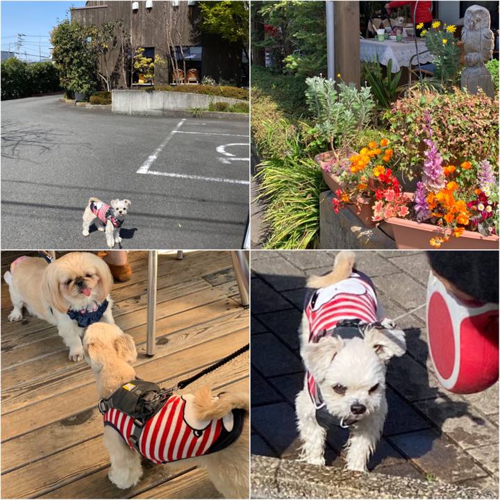 B7a8d7b7 b76c 4fa0 8e7f eda78b07c87e 1584789836443