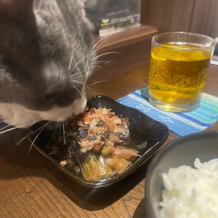 B7a8e7d6 4136 492b 9411 9f4c7ebcaeee 1719574149918