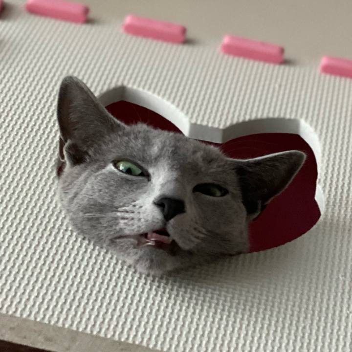 B7a8f174 d301 43b6 8ff4 cb55902f54cc 1617835138025