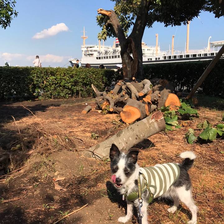 B7a8f58c ddfc 442f 9f95 25541133e0c4 1568891155239