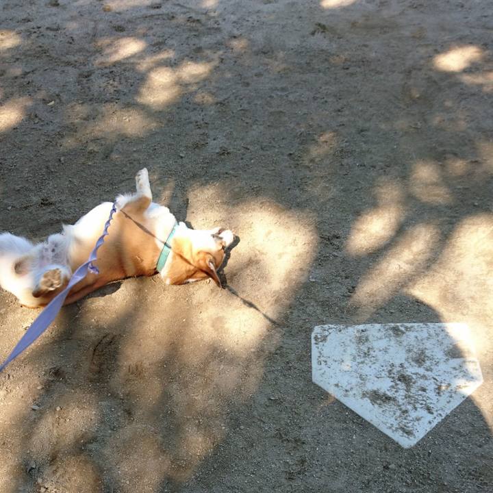 B7a90f10 66ac 4350 a9ac 984b42810544 1602915564022