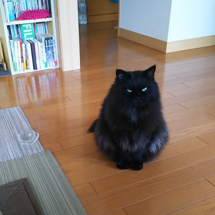 B7a967f7 63f4 4644 9ed3 747edcee7ab9 1562742029493