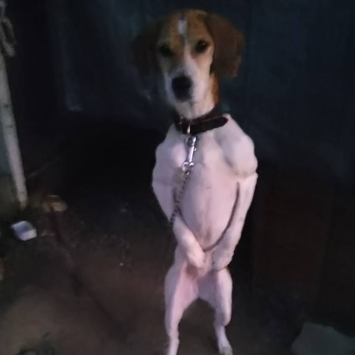 B7a97b30 64eb 4012 bc02 d096eaed3144 1645709199613