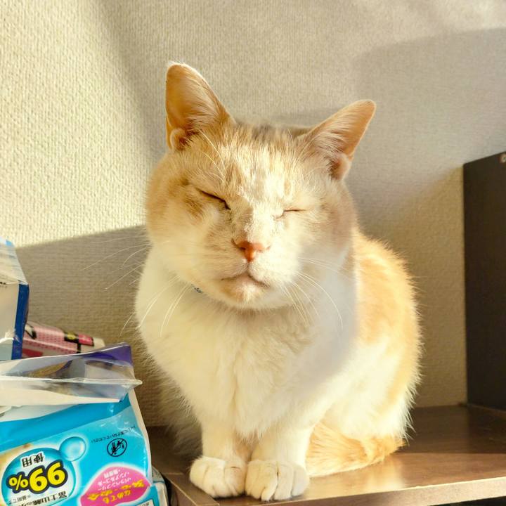 B7a97cc6 d189 46bb 841f 66afe4fc6cb3 1676501225406