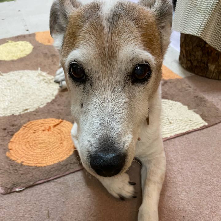 B7a9a327 5271 4940 952a 6227bb8ab09d 1624310992111