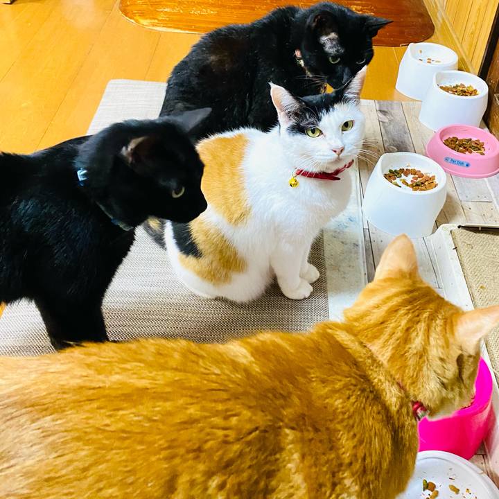 B7a9ade8 8cb5 479f a006 1a6ddeae844f 1758719151533