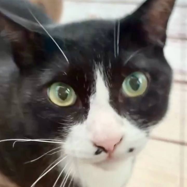 B7a9b201 1b19 4824 8390 c48270722702 1754308639826