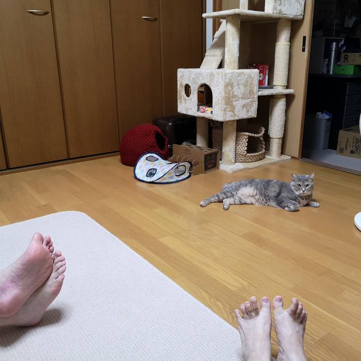 B7a9f770 9e08 46a8 b575 56968f493562 1568643017742