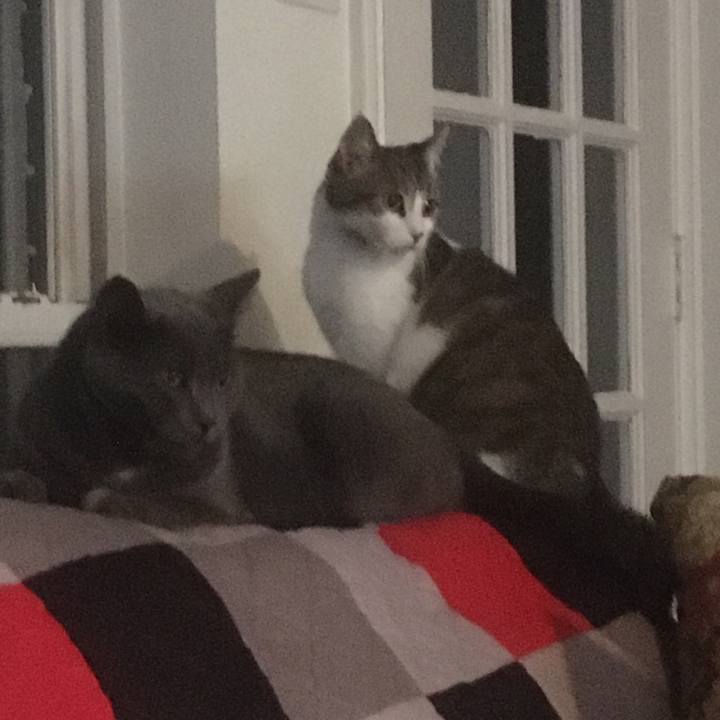 B7aa251a c0c7 4592 8134 cb1da46e327e 1656374053260