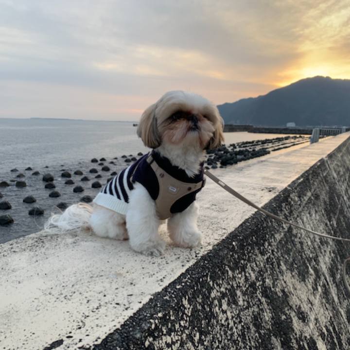 B7aa4263 835d 4d08 932c cbe808f53619 1609243954798