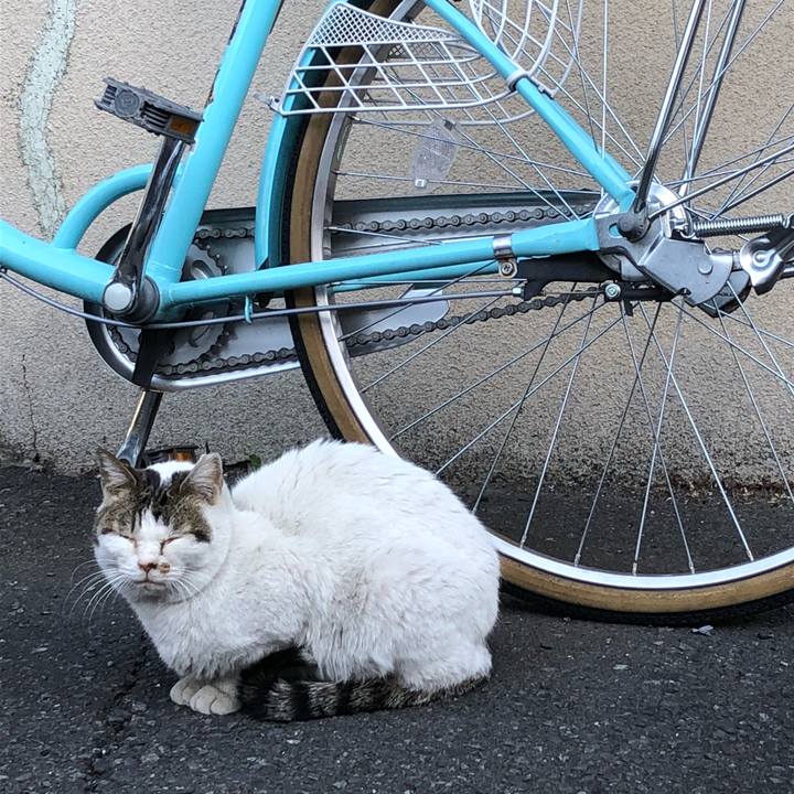 B7aa47f1 be06 4fe3 91ba 95334a39dfc2 1520002232768