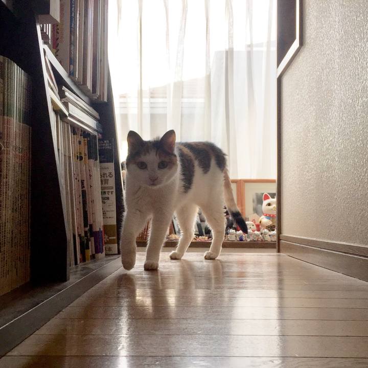 B7aa6ab9 19b5 4406 9ad1 97610637839a 1566456829938