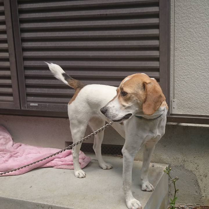 B7aa75f6 7666 4353 8045 b588ebc20e34 1567087376088