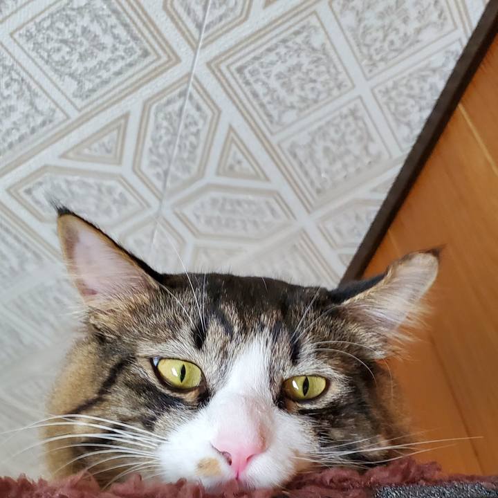 B7aa79d0 0df5 4c2e 8c36 fa48a8176127 1670997361832