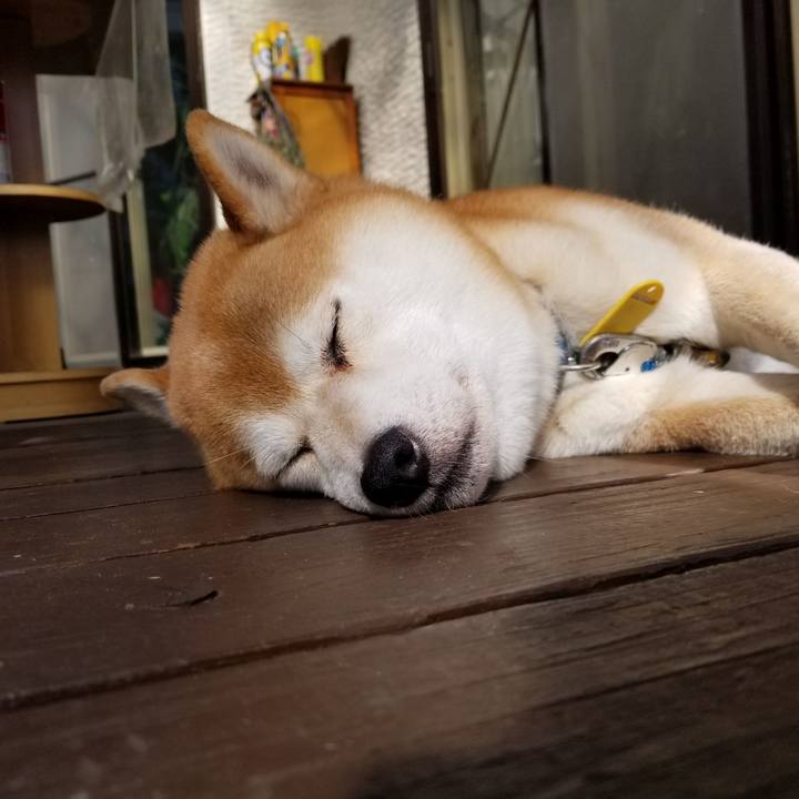 B7aab158 f7fb 4af6 9c7d 6d07d92c8e49 1569888762544