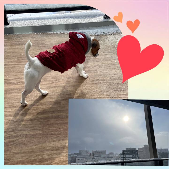 B7aabef3 0d04 4719 aa36 cf1cd115f592 1645142333798