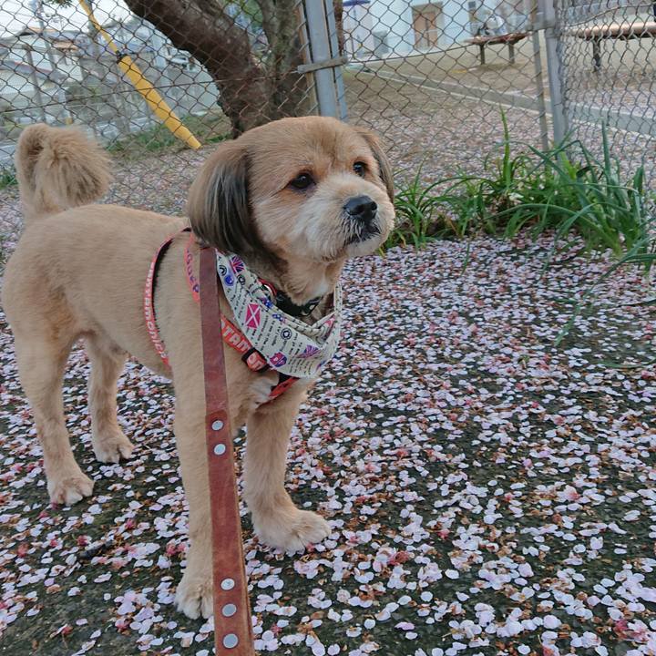 B7aac869 a9c6 47c7 96a7 9a22e1f8e1e7 1551707796676