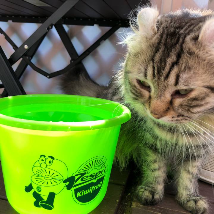 B7aac8a8 4761 4884 a068 21b59c7932b0 1533529933494