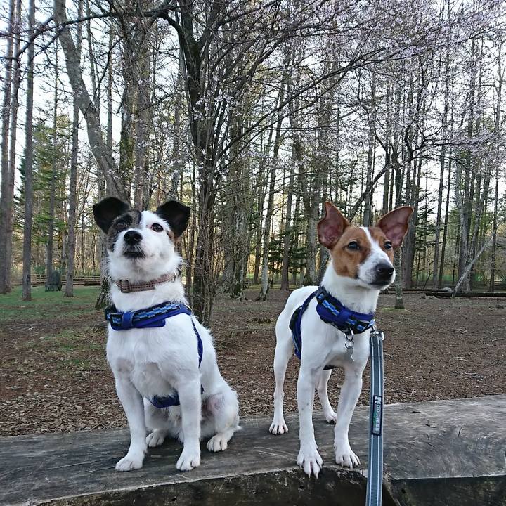 B7aae939 15c2 4500 b750 f7a7e2815638 1524300289088