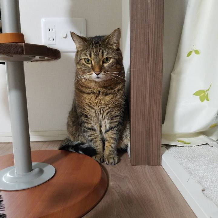 B7ab1187 5b6f 4868 93be d4f9a92de221 1571704728907