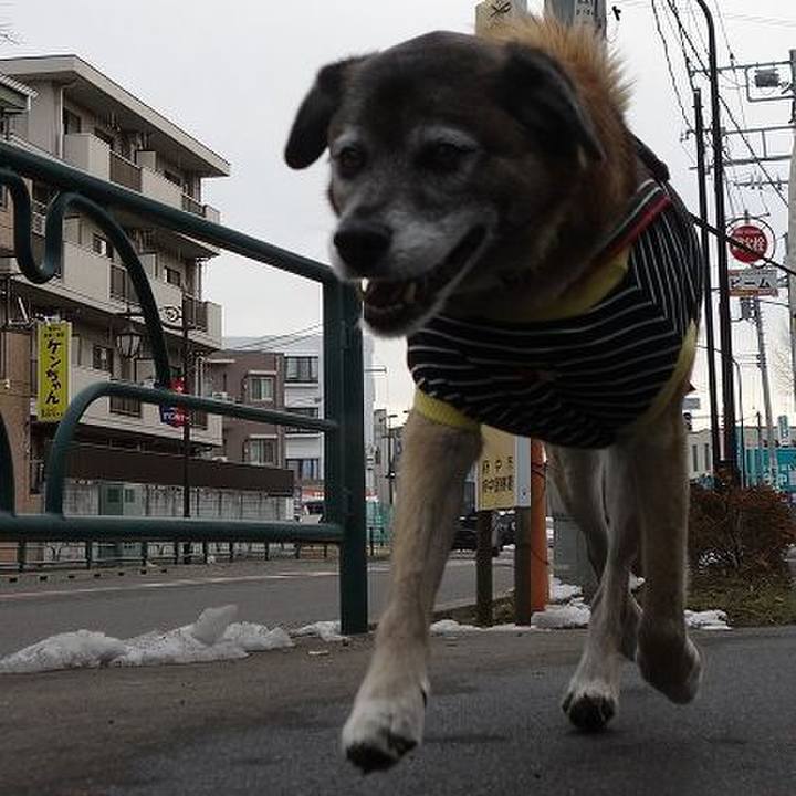 B7ab18c2 464f 475b 8885 2dc2d48bf061 1517102974953