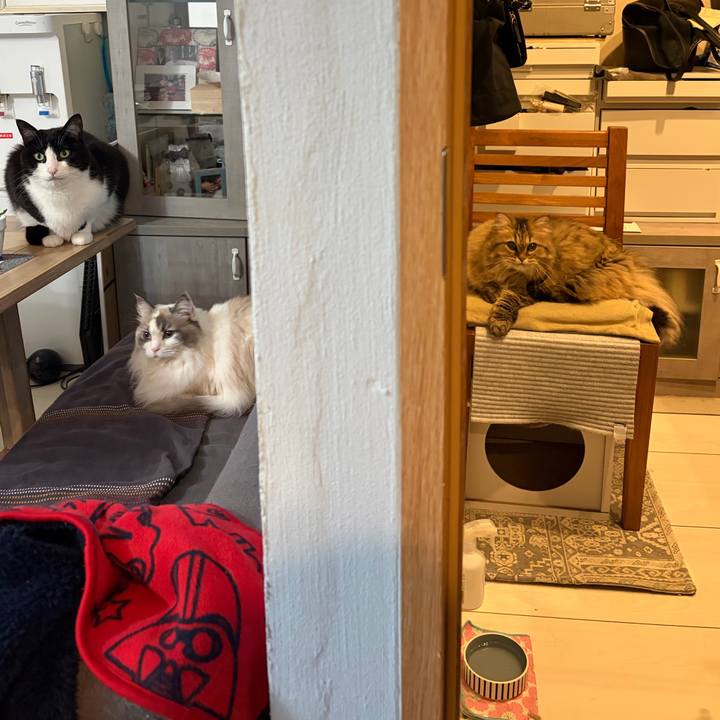 B7ab1a50 13d9 498c a7b2 a2052f1bcaec 1767670505783