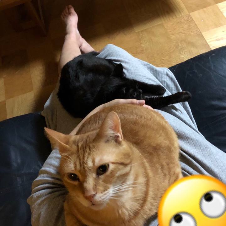 B7ab5777 799c 4f6b baec f50536e03597 1567268076421