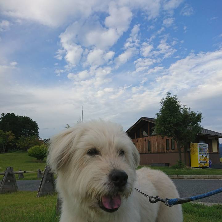 B7ab66a8 c0e8 4261 bfc0 812e16039433 1567333485463