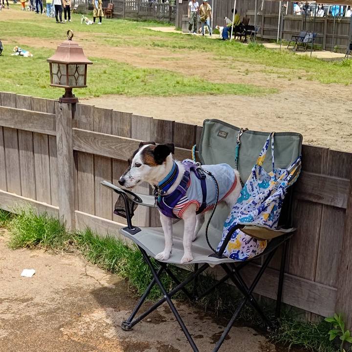 B7ab8bf8 99cb 4e2f b2c7 761cdf8e4638 1685189372005