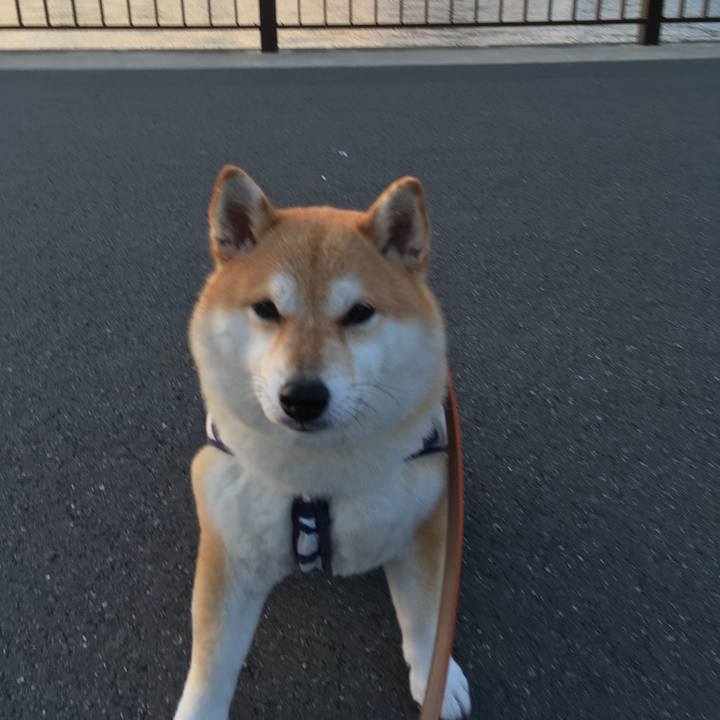 B7abfb5b a950 46d1 b43f 1e0acaa760a7 1552553700055