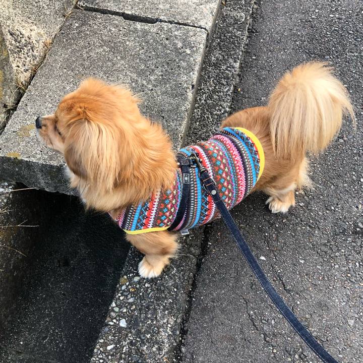 B7ac04af ba2b 4650 b6ef b7d3acd9cada 1516412044010