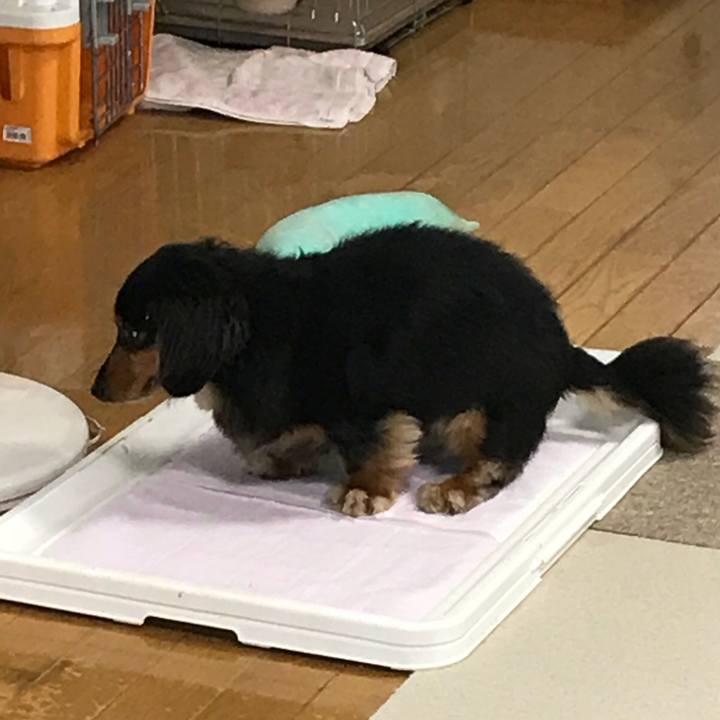 B7ac13a7 a067 4029 aecf cfa565c31e9c 1531346754925