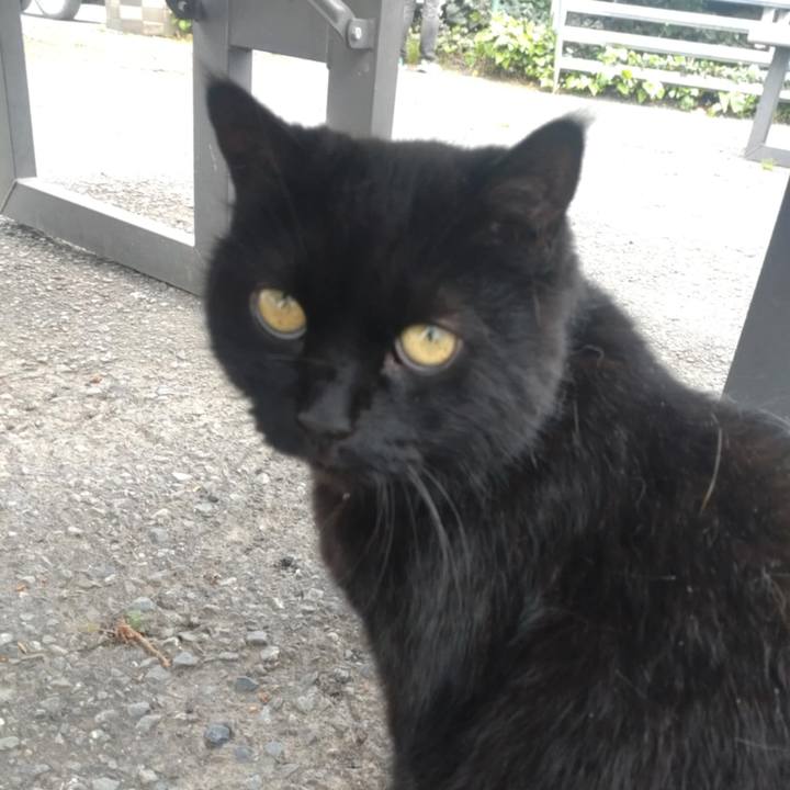 B7ac2da6 9b0e 4475 94cf 81c16512eb79 1745559653075