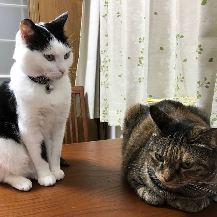 B7ac2dfb 20a4 43a2 91c0 4f6d3a1a296f 1525956053220