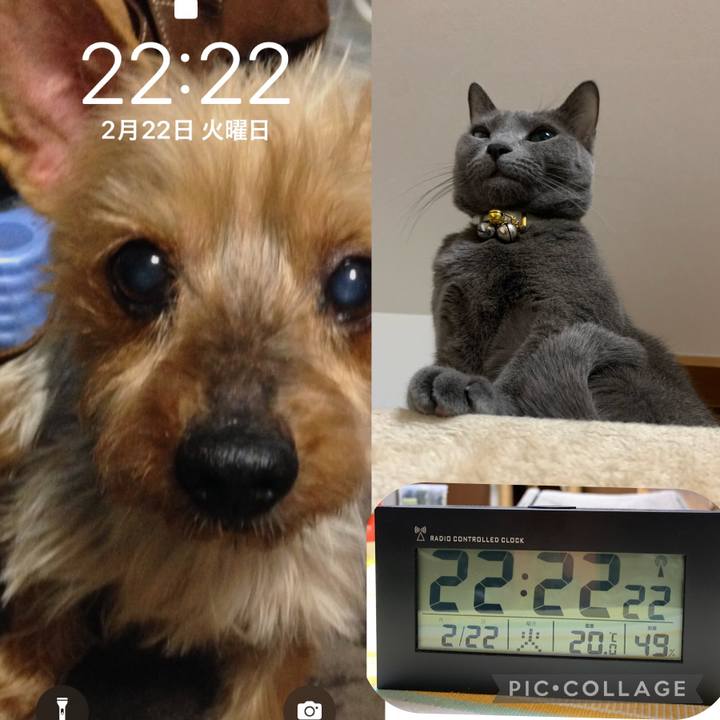 B7ac4d89 81cf 42c0 ae96 715e90e90ec2 1645536657976