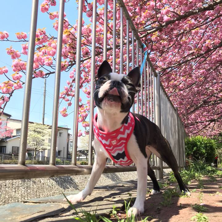 B7ac540f 2a92 4e33 844a 0133c8a73dc4 1523188394745