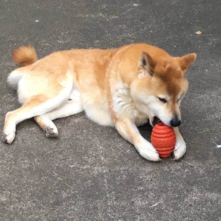 B7ac624b fc15 4b31 a034 d229d5503e5f 1615636974729