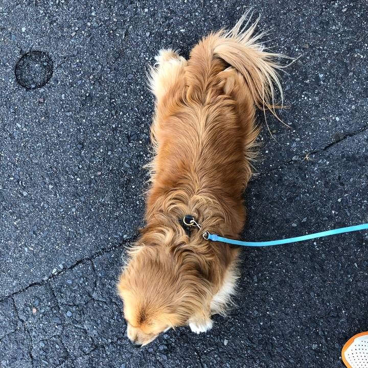 B7acdebb 092a 4b7a b49a ba87678edc2f 1558740058809