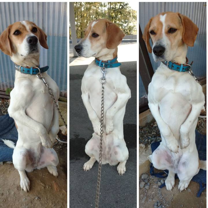 B7ace31c 81ed 4cf2 8e58 bdf9a69d0d1e 1616728955883