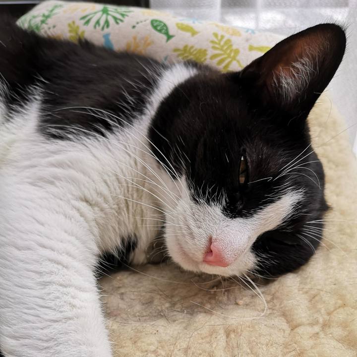 B7acec1a 8e81 4434 8004 72c594a838bc 1632197445771