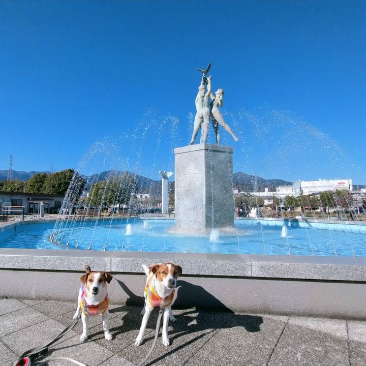 B7ad0c71 2391 4a4e 81cd 8ae13312ad26 1772962937858