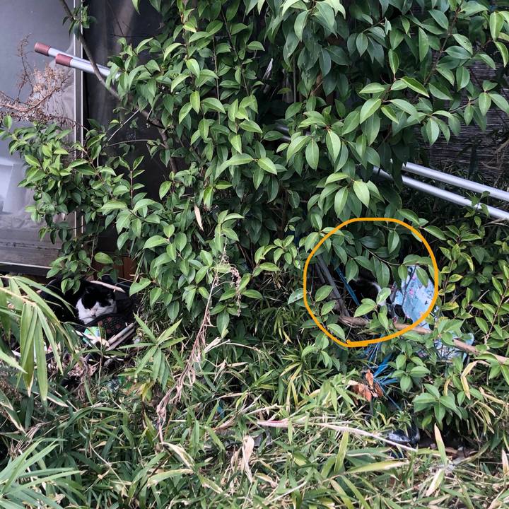 B7ad1347 b614 4c16 98d5 14152b86aa71 1583135842092