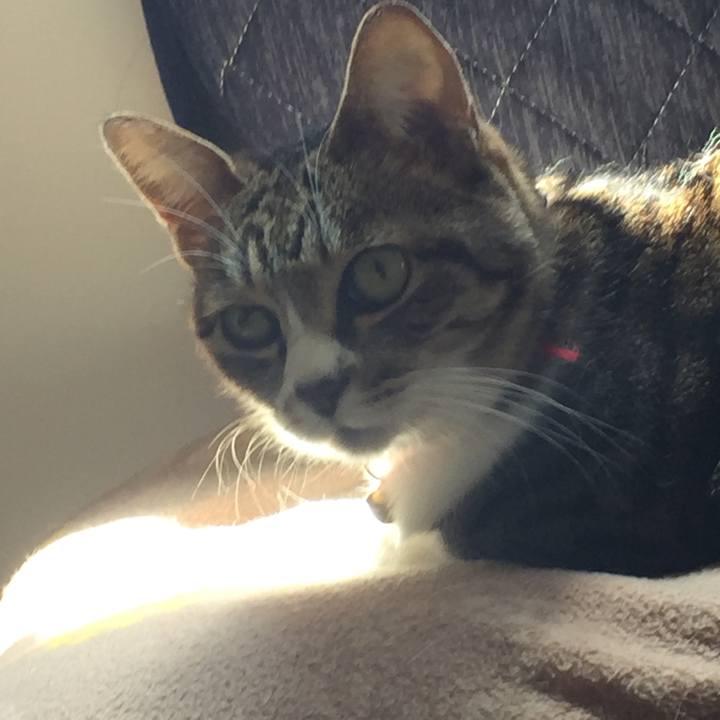 B7ad1495 bbb2 4c73 b6f5 1fa43d0b7d2d 1555727872443