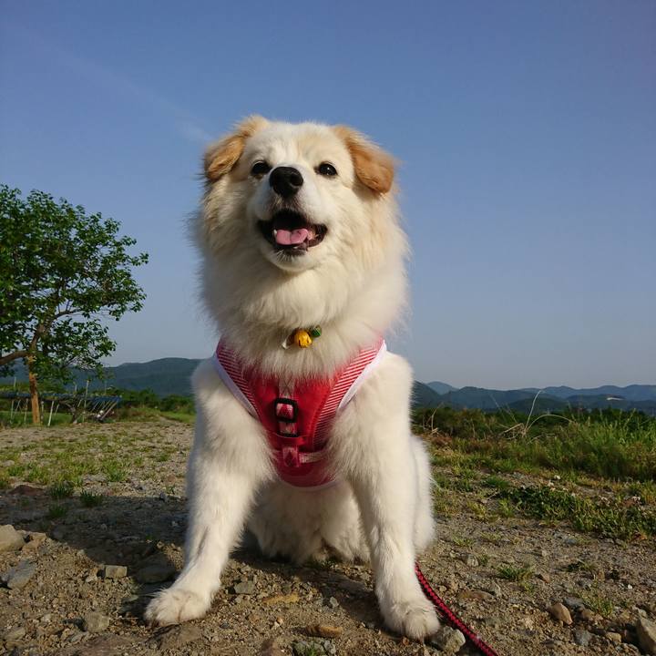 B7ad38ae ab42 4d24 9add 661afba5a23e 1526421252555